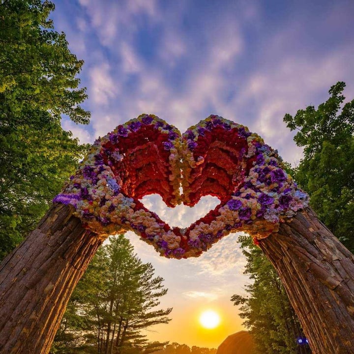 Cover artwork for All We Need Is Love, used as the vinyl label on deck B
